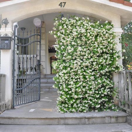 Apartmaji Stamcar Izola Esterno foto